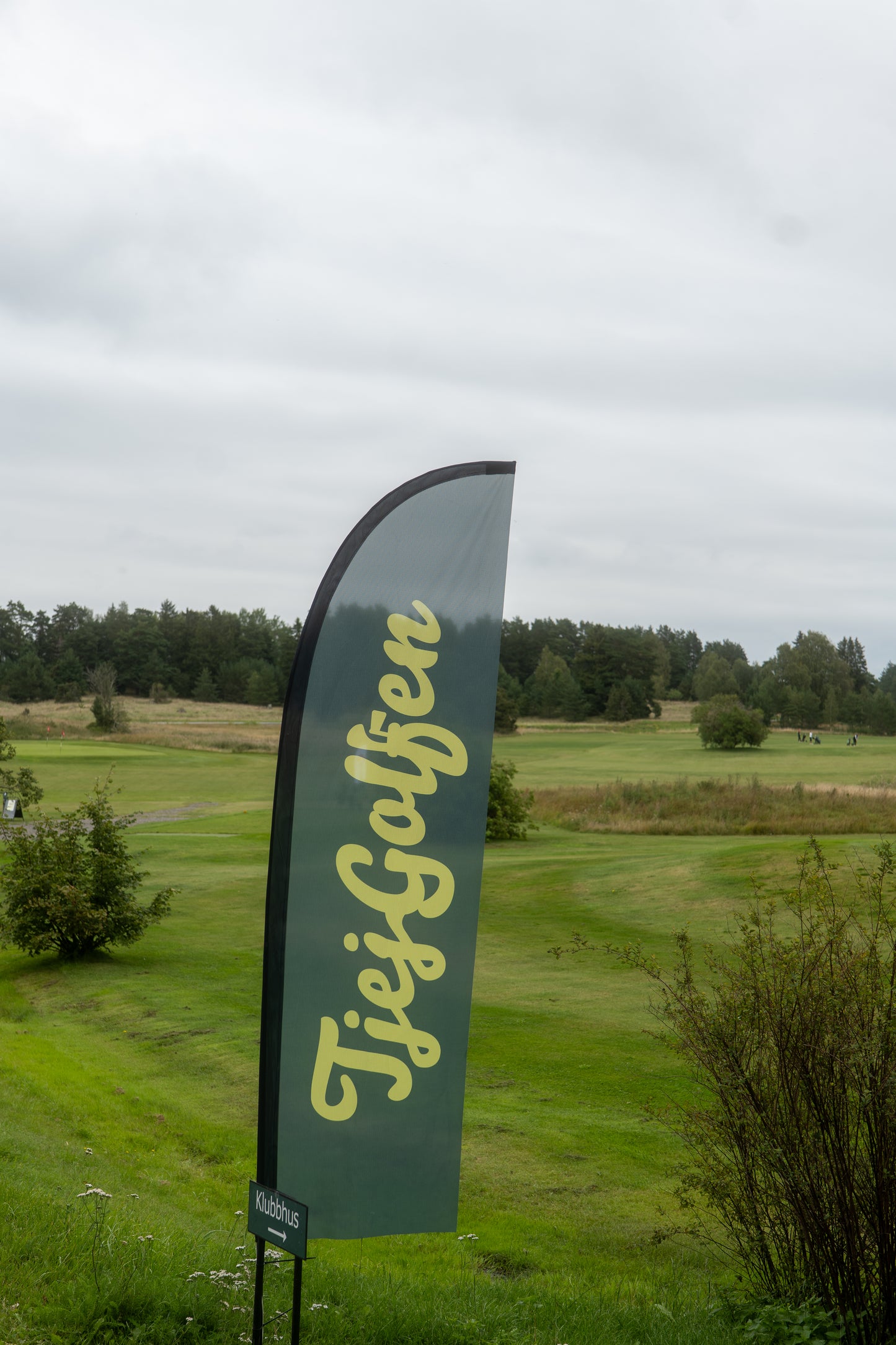 Middagsbiljet 8 Mars